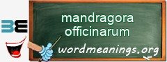 WordMeaning blackboard for mandragora officinarum
